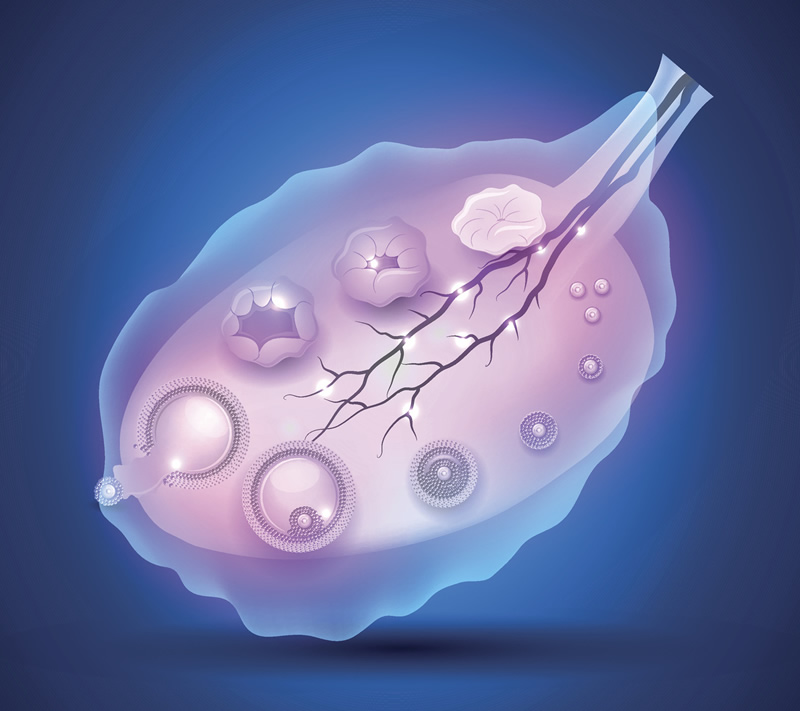 深度调查!郑州试管助孕机构费用构成详解!